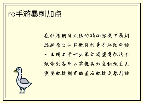 ro手游暴刺加点